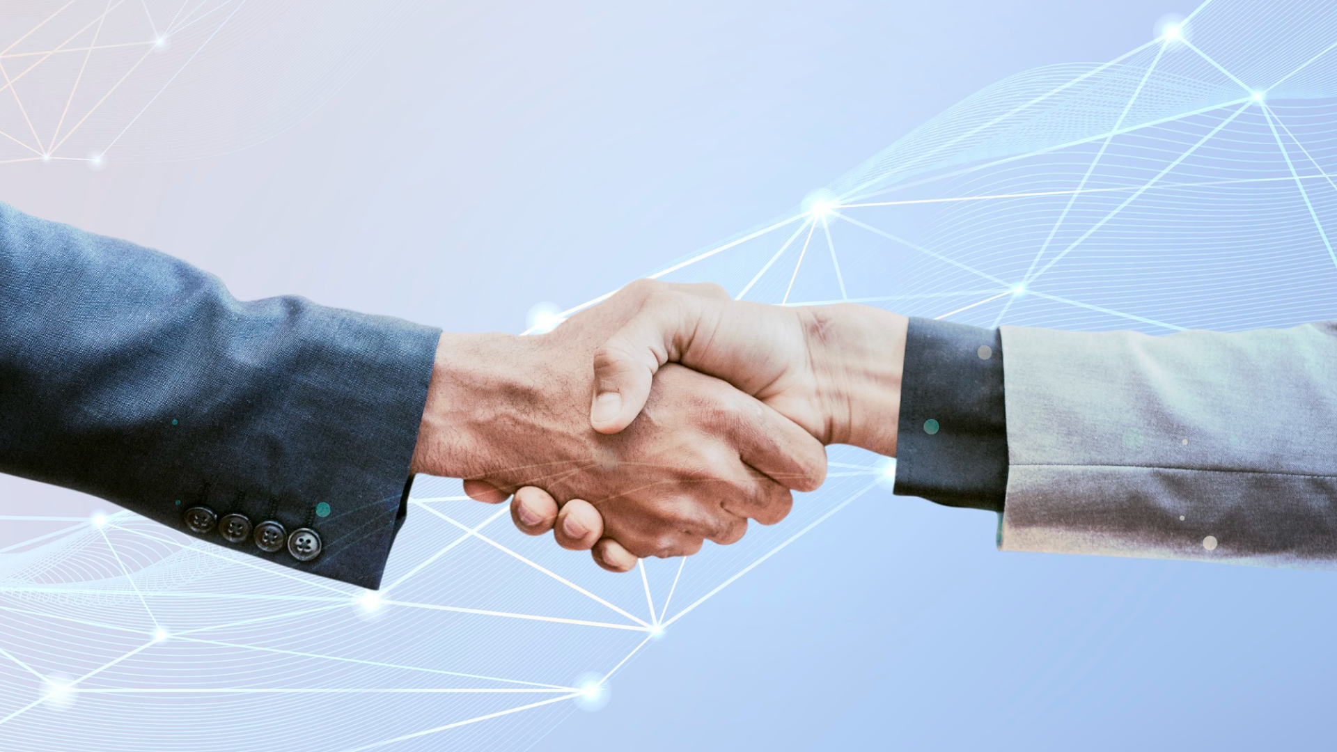 Partnership Model
